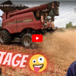 Battage du quinoa avec un pick-up et une axial