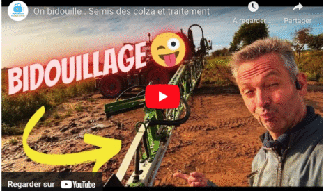 Semis des colzas et traitement