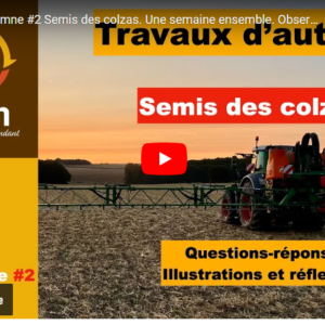 travaux d'automne #2 25092024