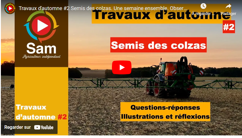 travaux d'automne #2 25092024