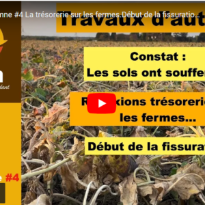 travaux d'automne #4 27092024