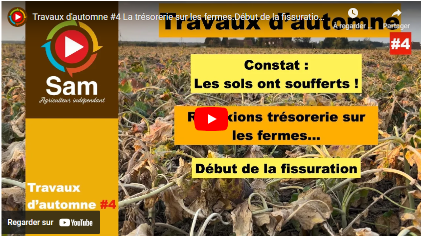 travaux d'automne #4 27092024