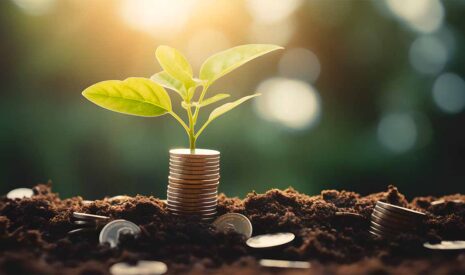 Maîtrisez vos coûts pour une agriculture rentable