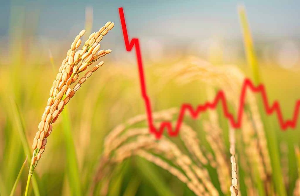 Piloter la croissance de votre ferme