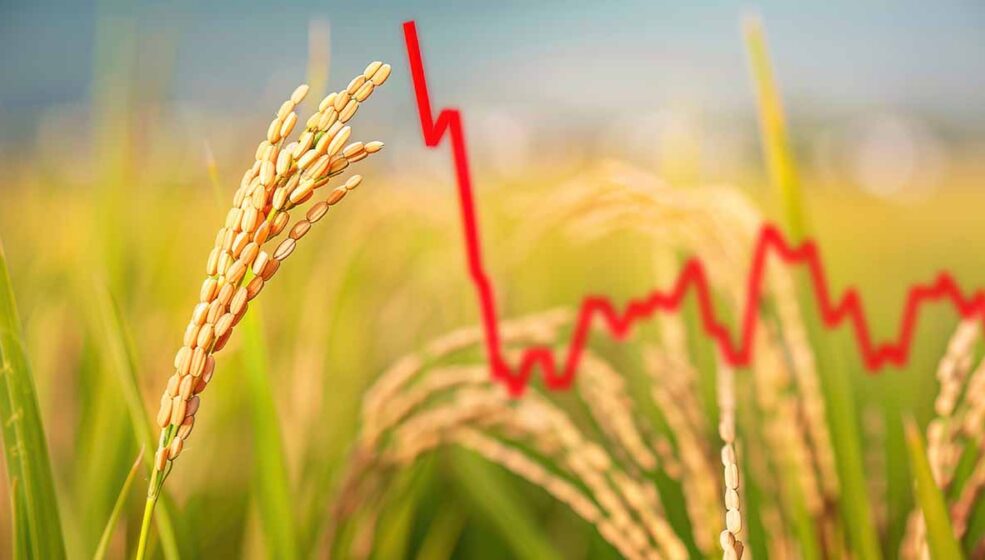 Piloter la croissance de votre ferme