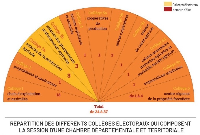 ca composition