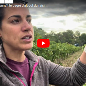 comment on connait le dégré d'alcool du raisin 22102024