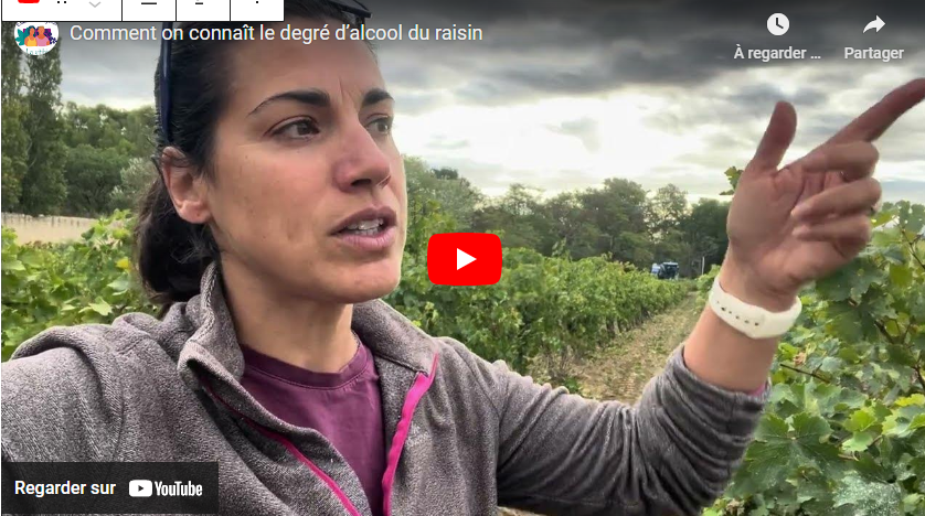 comment on connait le dégré d'alcool du raisin 22102024