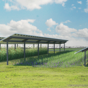 dem&ter varorem projet agrivoltaisme landes