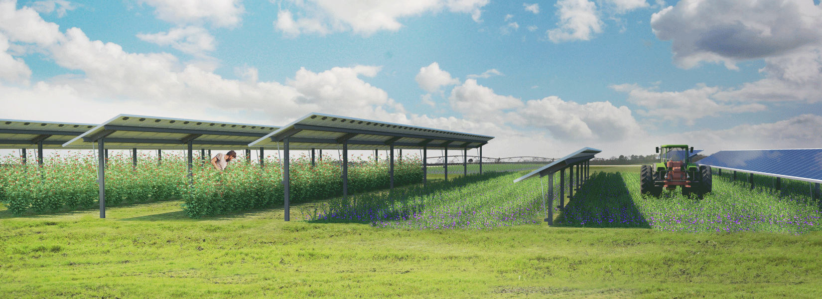 dem&ter varorem projet agrivoltaisme landes