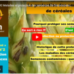 Maladies et protection des semences. De l’inconscience à la conscience ? 