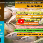 La protection de semences. Maladies et ravageurs : quelles solutions ?