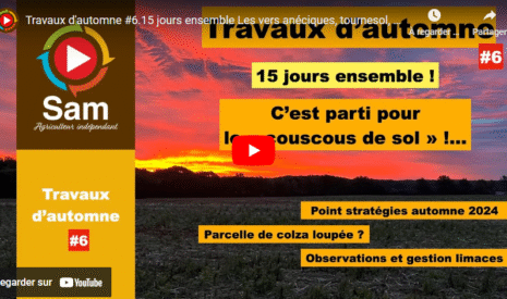 Travaux d’automne #6.15 jours ensemble. Les vers anéciques, tournesol, stratégies de travail du sol.