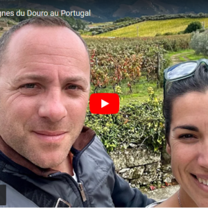 visite des vignes du douro 29102024