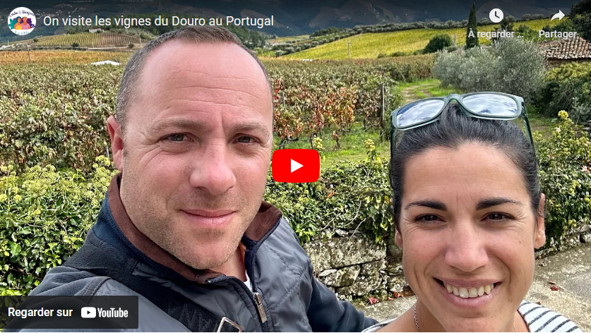 visite des vignes du douro 29102024