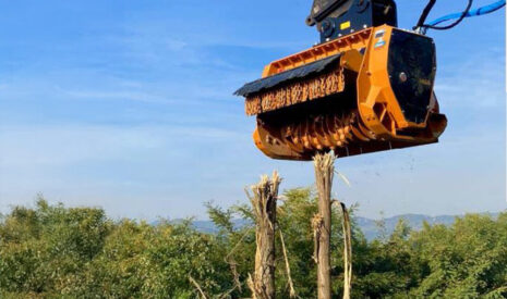 Rotor forestier « Smooth Cut » : un nouvel outil signé BERTI pour le broyage intensif