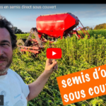 Semis des orges en semis direct sous couvert