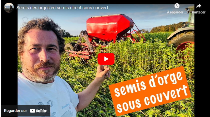 semis des orges en semis direct sous couvert 23112024