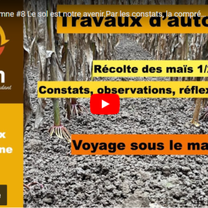 travaux d'autome #8 14112024