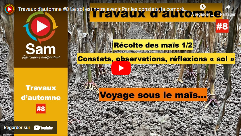 travaux d'autome #8 14112024