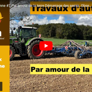 travaux d'automne #7 07112024