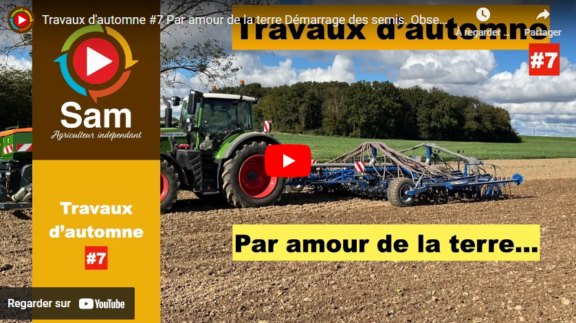 travaux d'automne #7 07112024