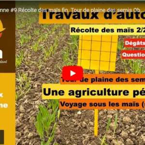 travaux d'automne #9 17112024