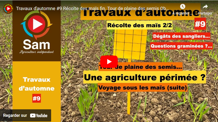 travaux d'automne #9 17112024