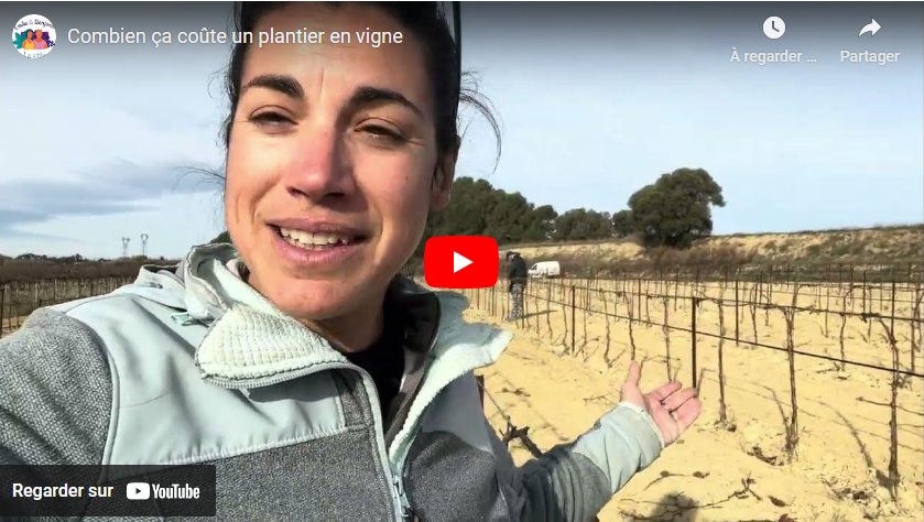 combien ça coute un plantier en vigne 13122024