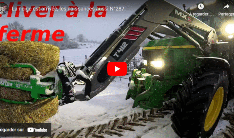 La neige est arrivée, les naissances aussi N°287