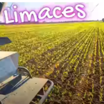 Epandage d’anti-limaces – 2024