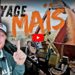 MAÏS HUMIDE c’est humide