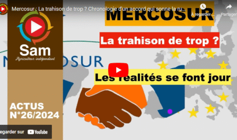Mercosur : La trahison de trop ?