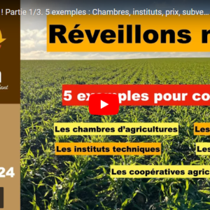 réveillons nous 21122024