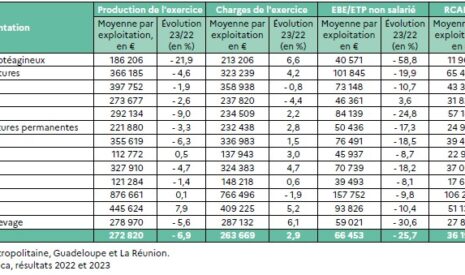 Les comptes de l’agriculture 2024 – La nouvelle baisse des revenus aggrave les inégalités