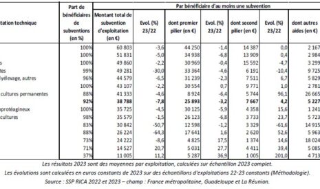 Comptes de l’agriculture 2023 – Sans aides, des revenus agricoles inférieurs à 1 000 € par mois
