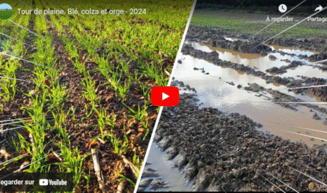Tour de plaine. Blé, colza et orge – 2024
