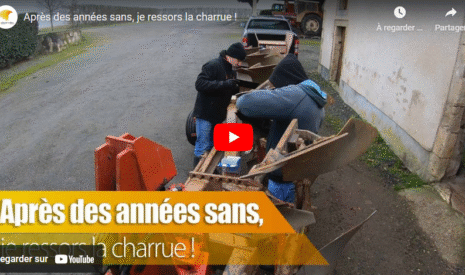Après des années sans, je ressors la charrue !