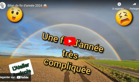 Bilan de fin d’année 2024