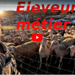 Changement de cuisine pour les animaux