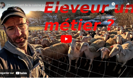 Changement de cuisine pour les animaux
