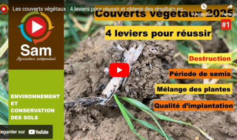 Les couverts végétaux : 4 leviers pour réussir et obtenir des résultats positifs pour ses sols.