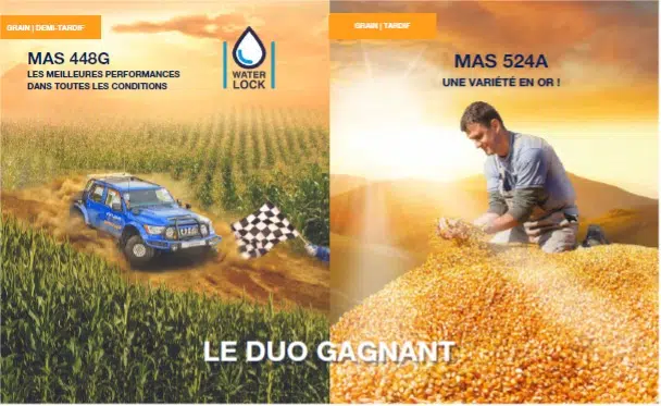 mas seeds duo gagnant