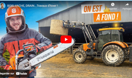 BOIS, VACHE, DRAIN…Travaux d’hiver !