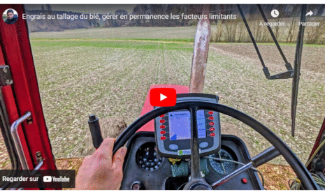Engrais au tallage du blé, gérer en permanence les facteurs limitants
