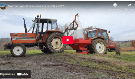 Premier apport d engrais sur les blés 2025