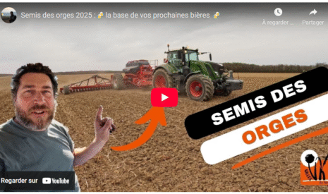 Semis des orges 2025 : la base de vos prochaines bières