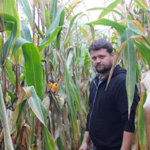 mais striptill agriculteur