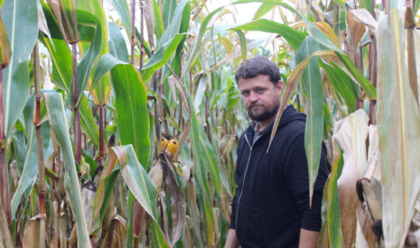 J’implante mon maïs au strip-till dans l’argile