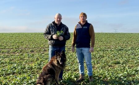 Producteur de céréales : une start-Up sur la ferme